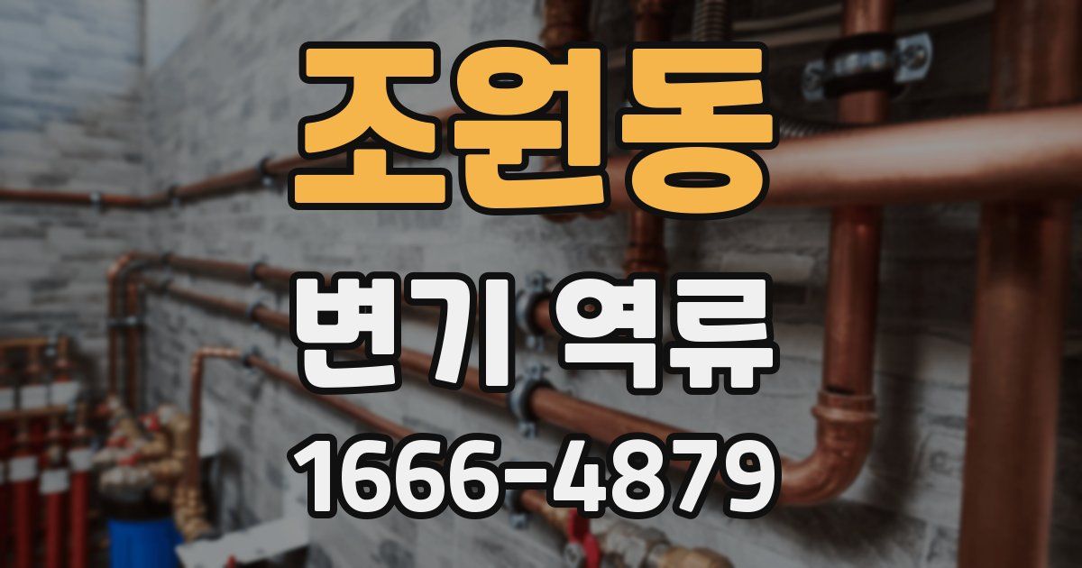 조원동 변기 역류