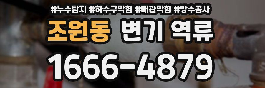조원동 변기 역류
