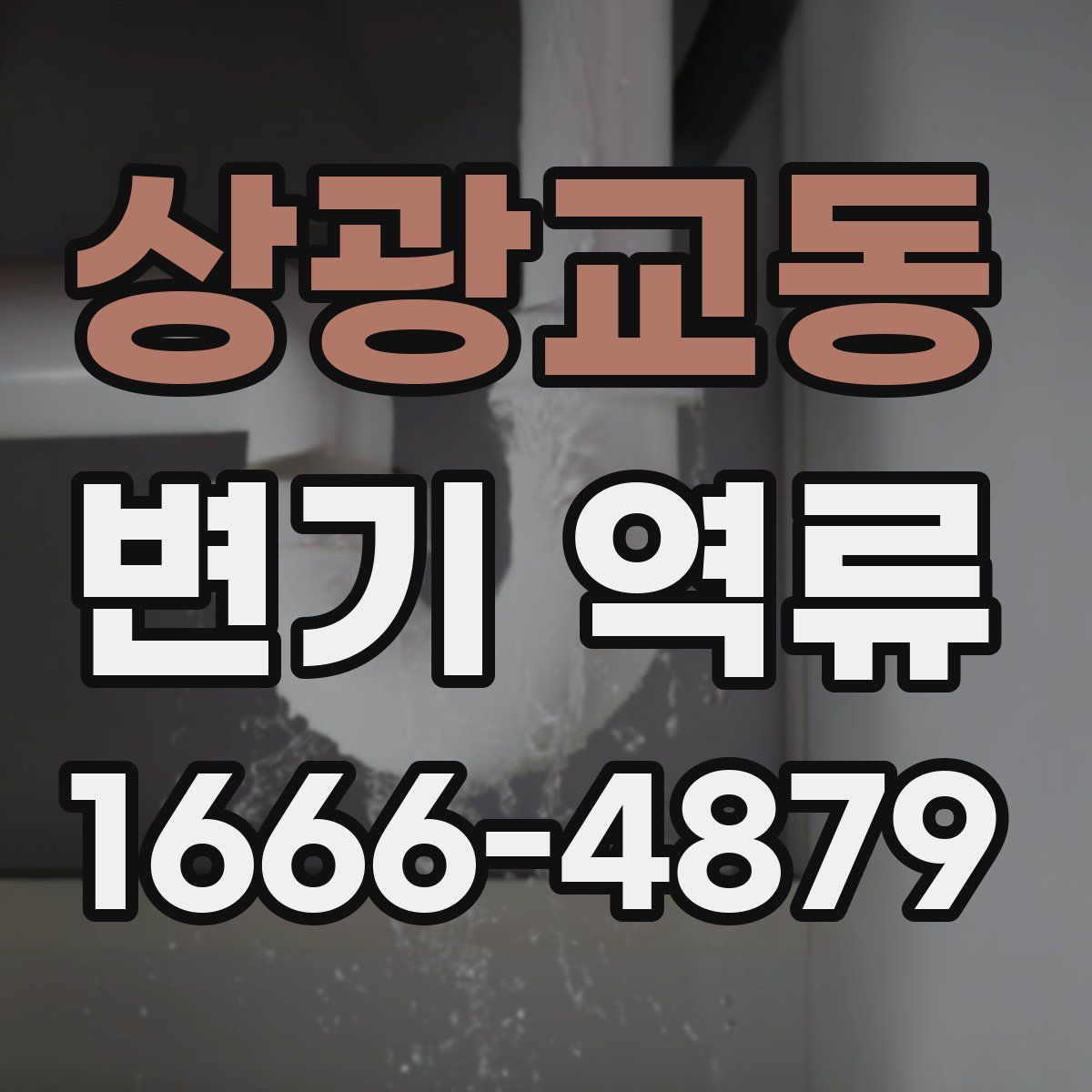 상광교동 변기 역류