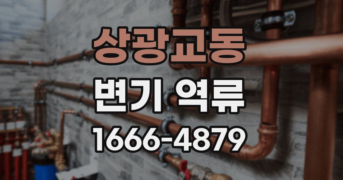 상광교동 변기 역류