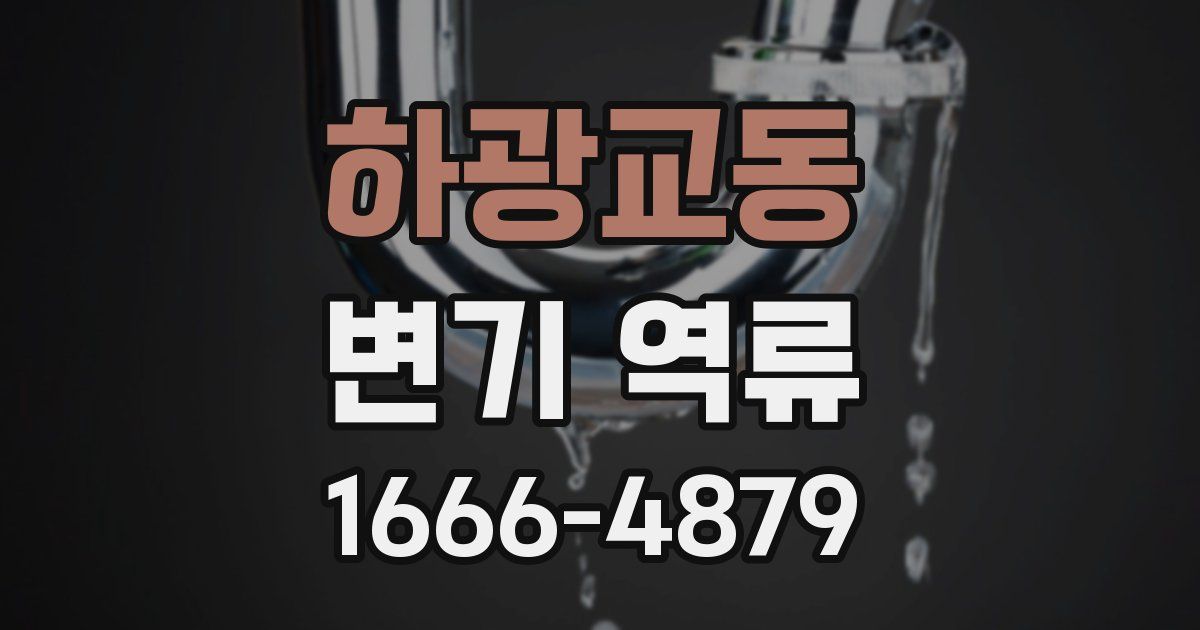 하광교동 변기 역류