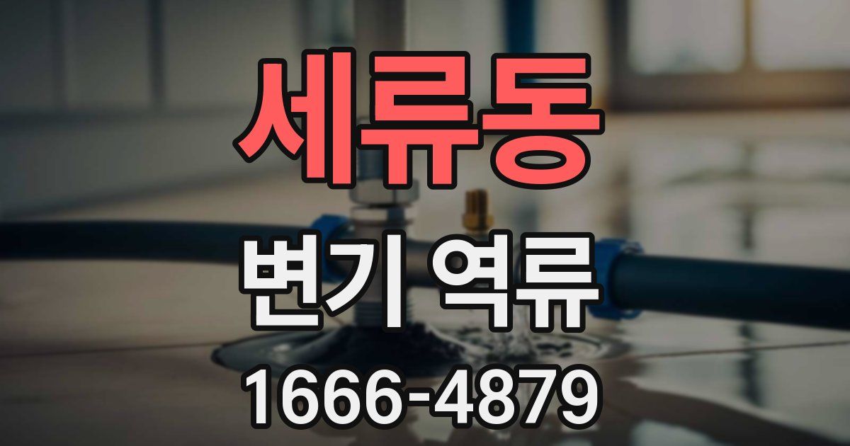 세류동 변기 역류