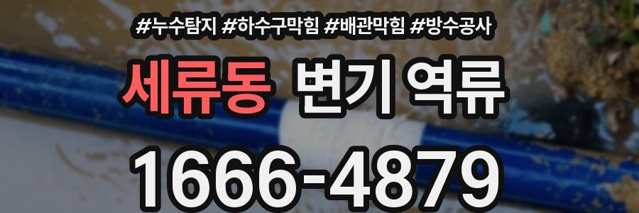 세류동 변기 역류