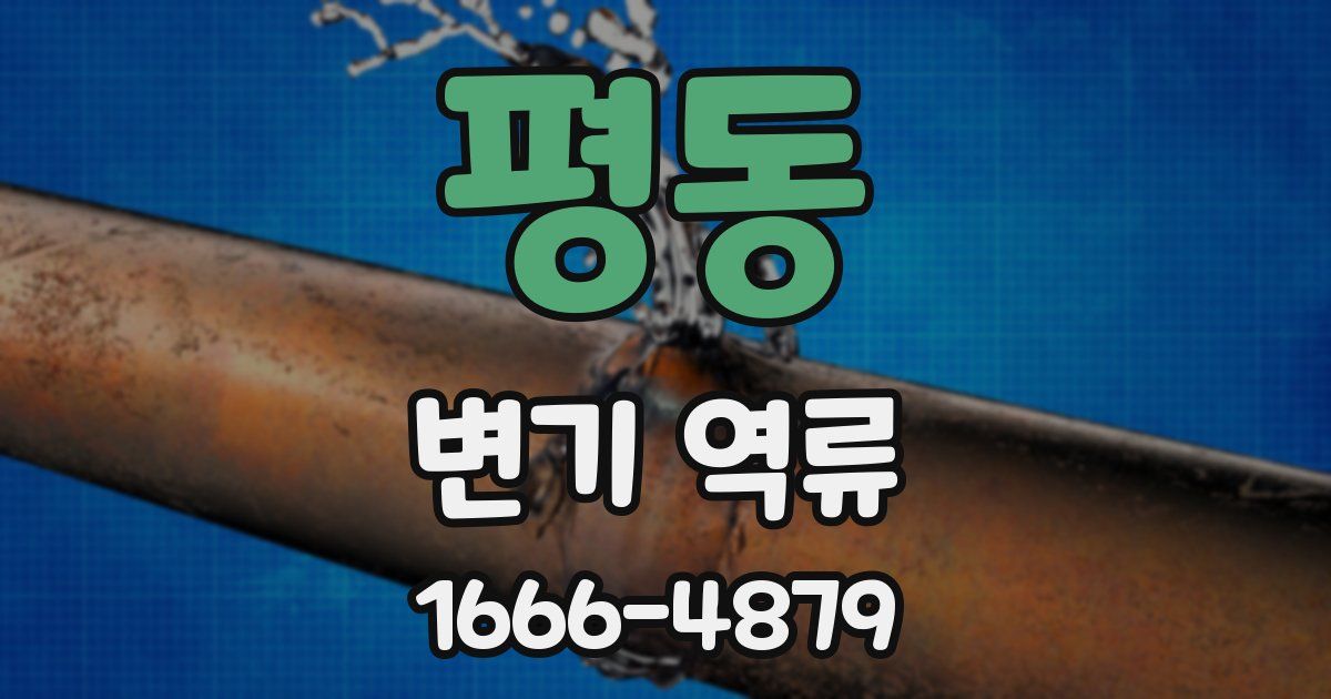평동 변기 역류