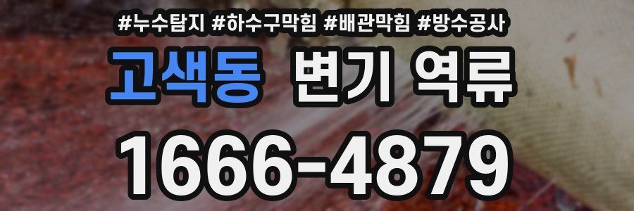 고색동 변기 역류