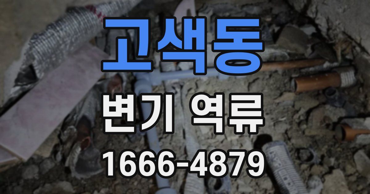 고색동 변기 역류