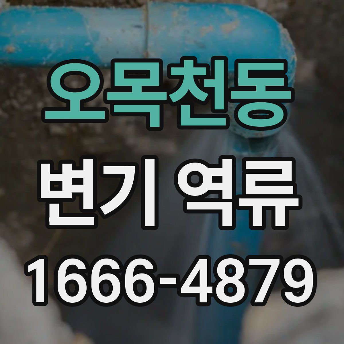 오목천동 변기 역류
