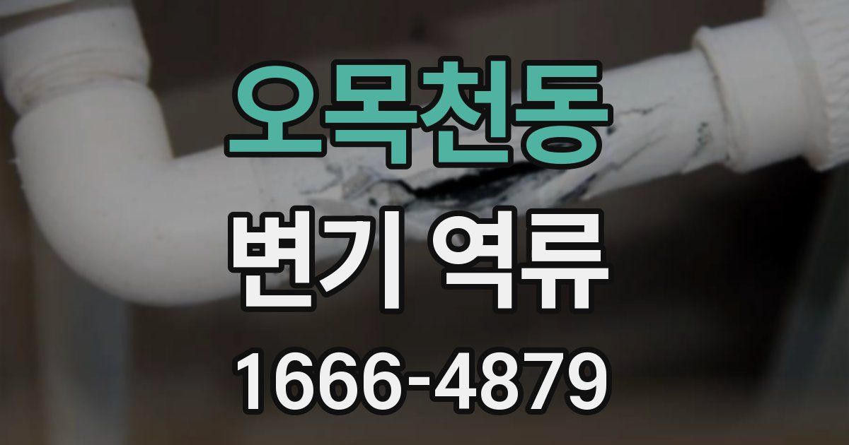 오목천동 변기 역류