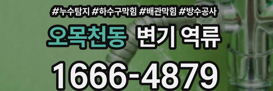 오목천동 변기 역류