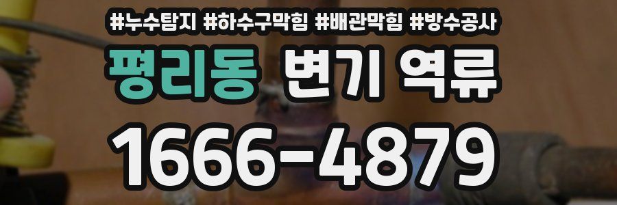 평리동 변기 역류
