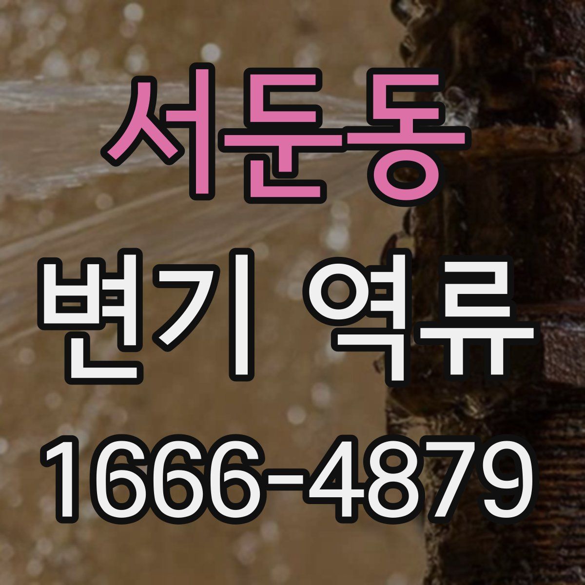 서둔동 변기 역류