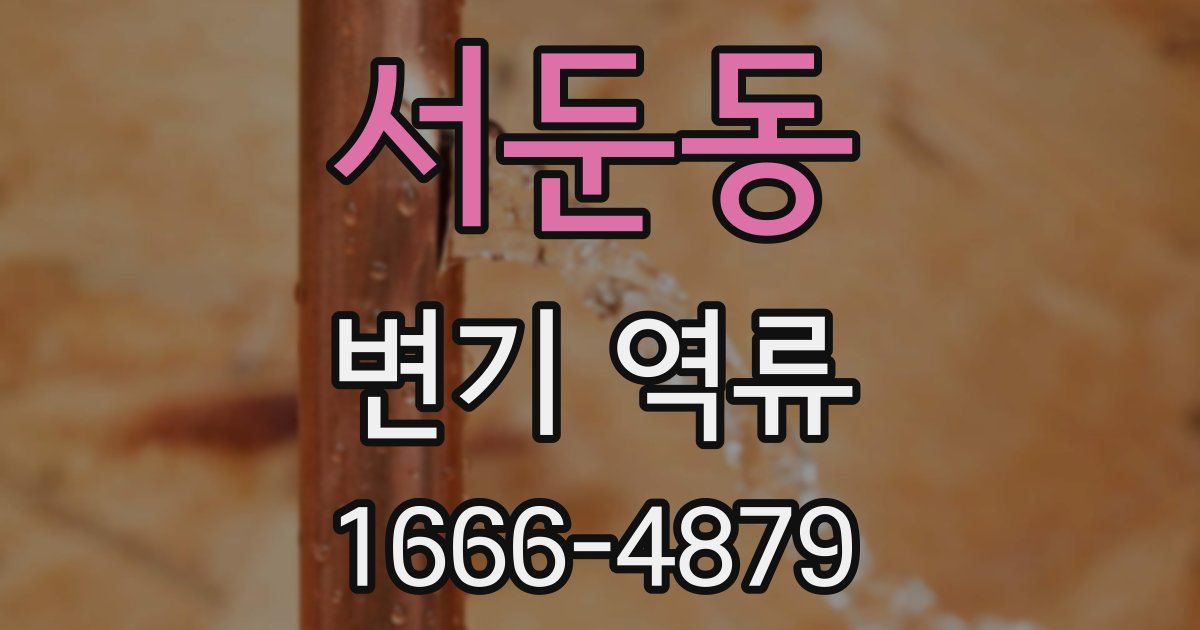 서둔동 변기 역류