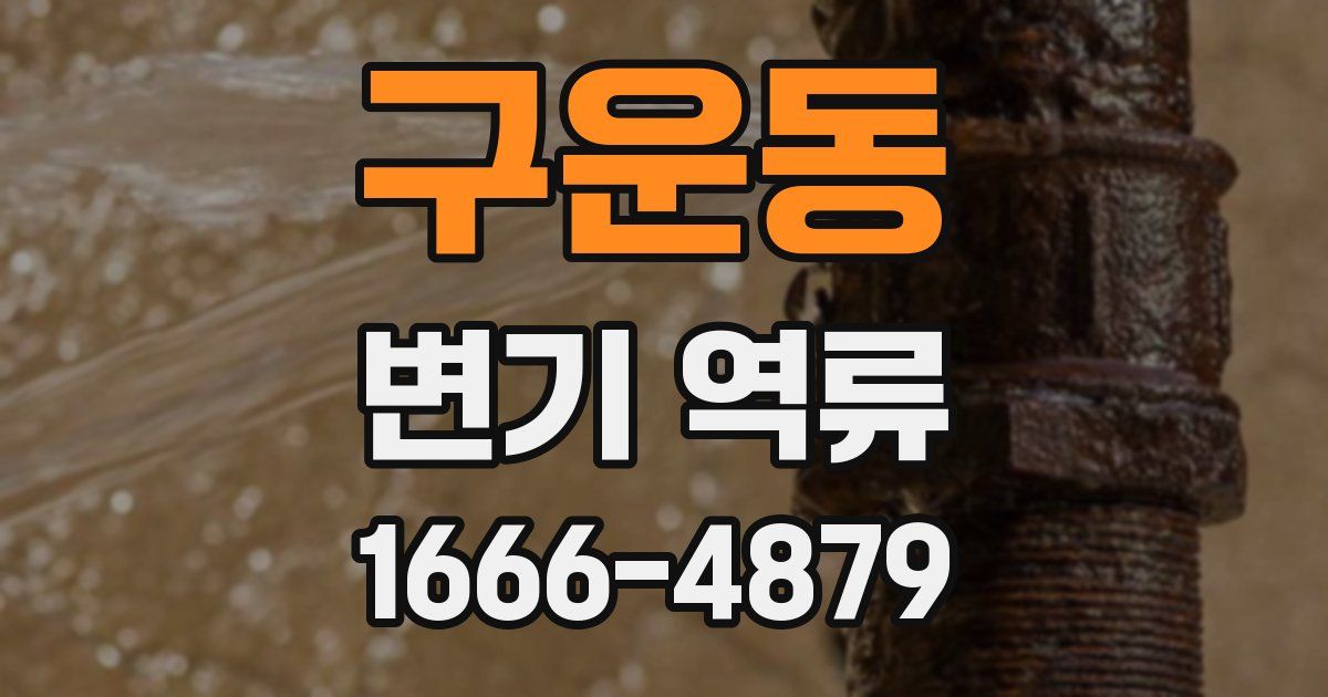 구운동 변기 역류