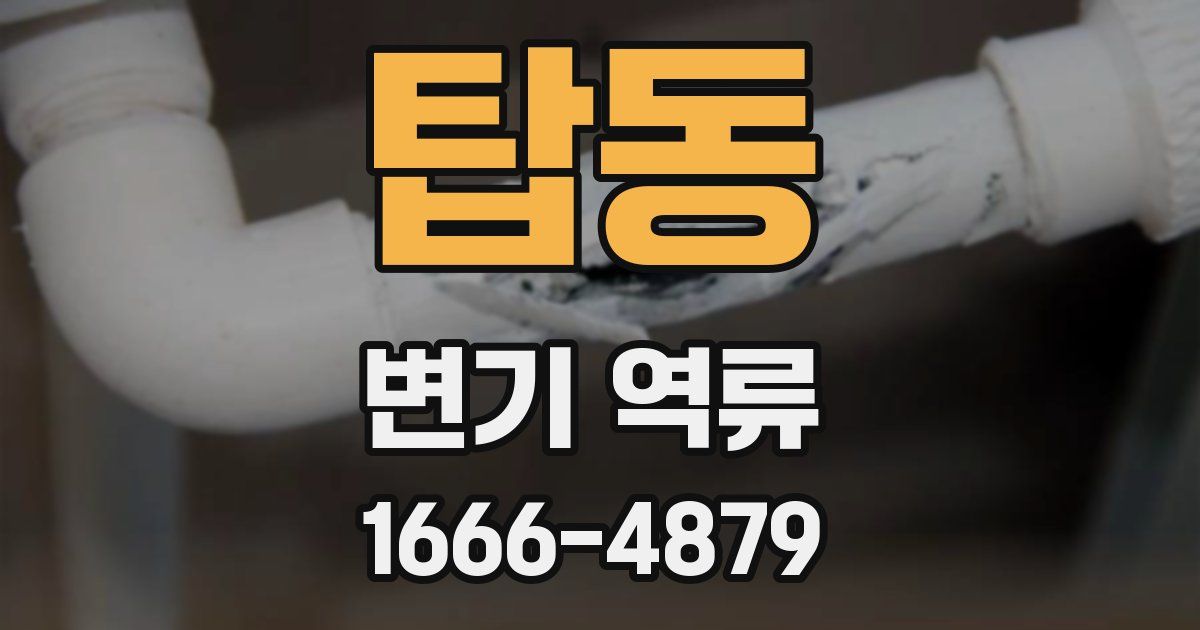 탑동 변기 역류