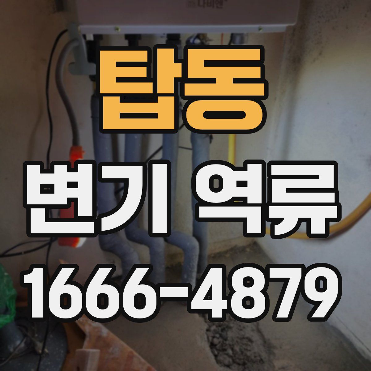 탑동 변기 역류