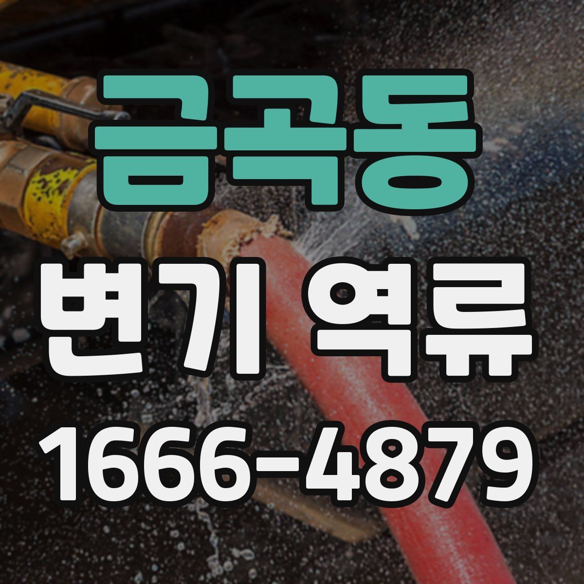 금곡동 변기 역류