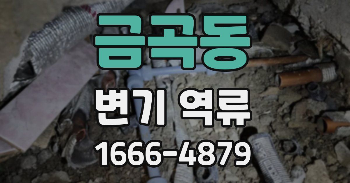 금곡동 변기 역류