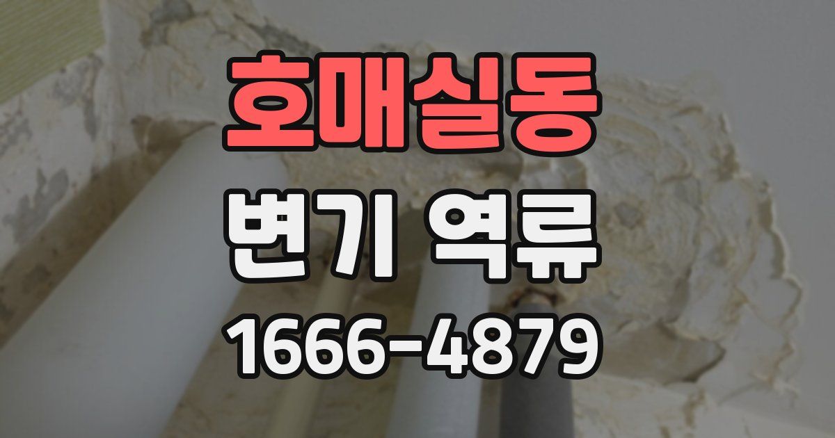 호매실동 변기 역류
