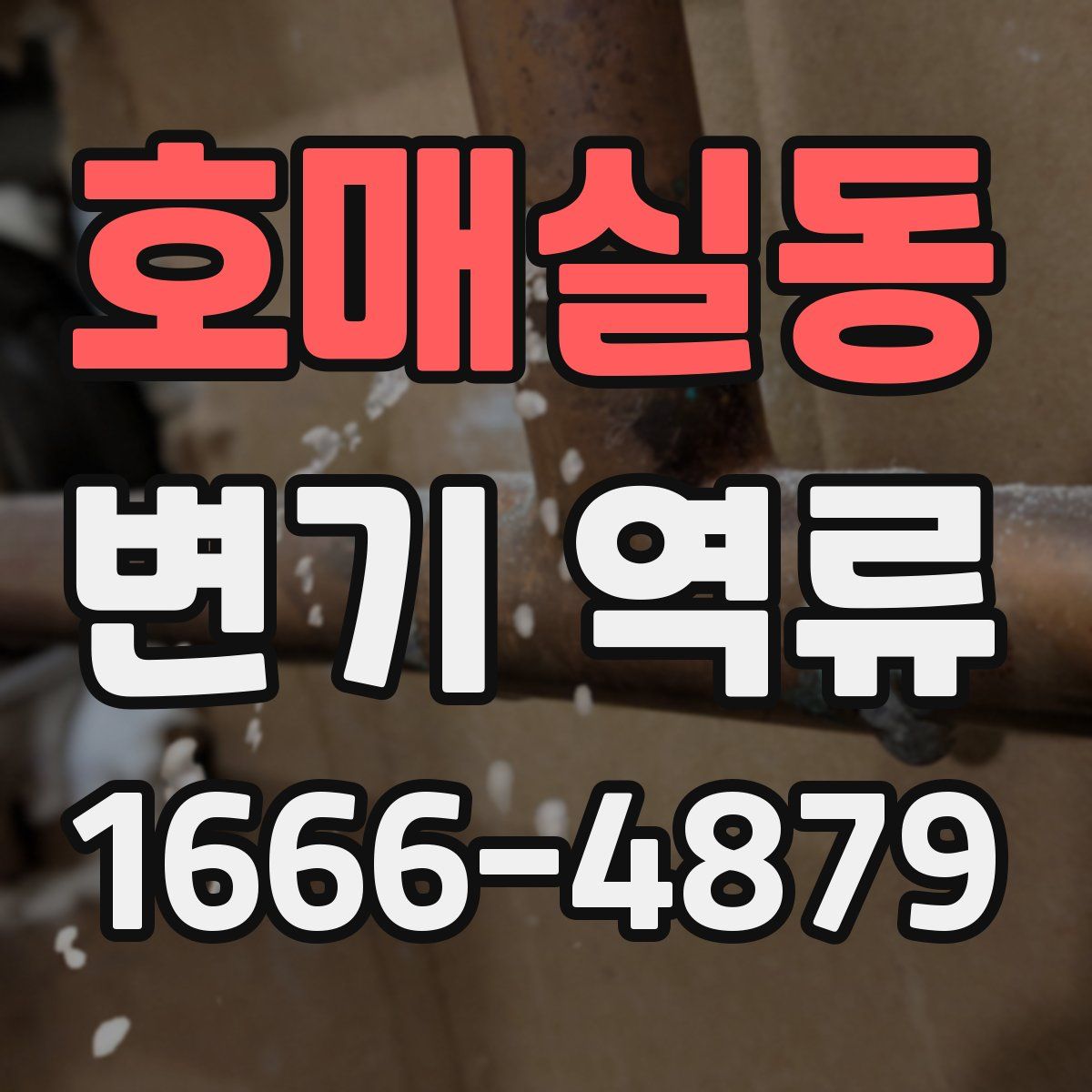 호매실동 변기 역류