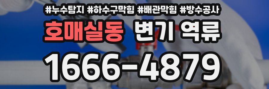 호매실동 변기 역류