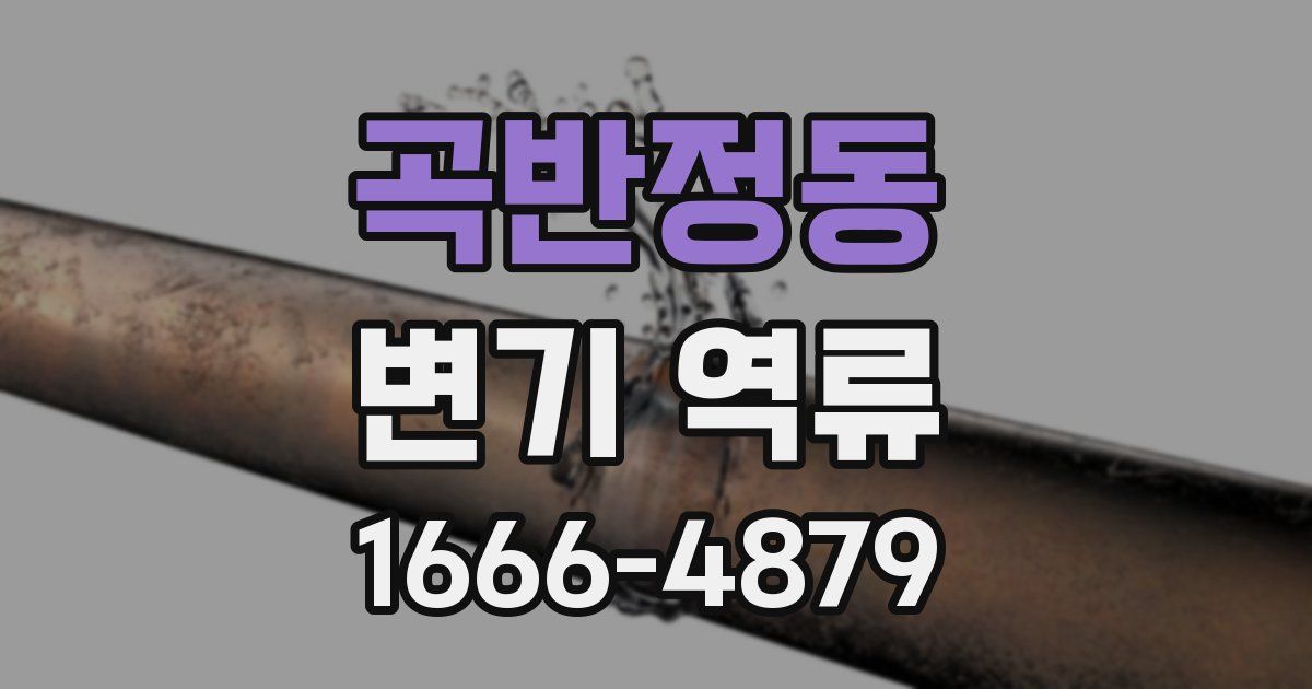 곡반정동 변기 역류