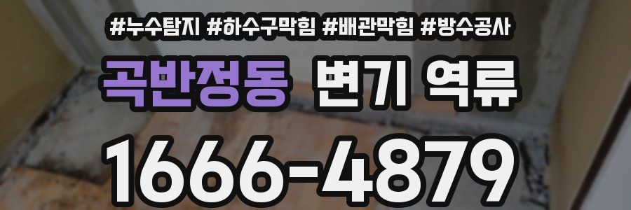 곡반정동 변기 역류