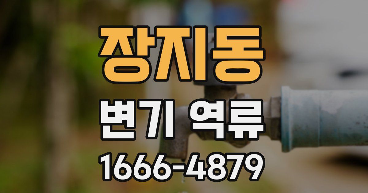 장지동 변기 역류