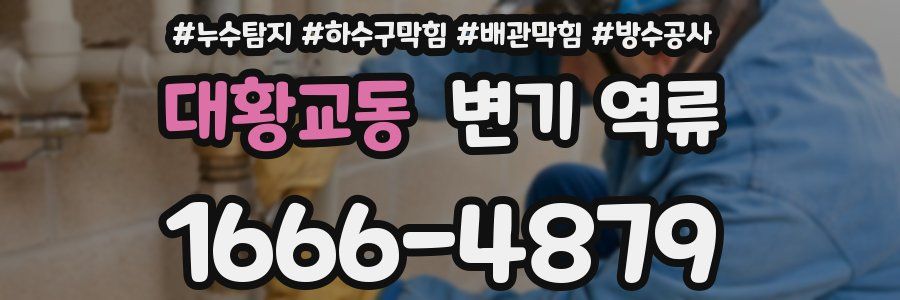 대황교동 변기 역류