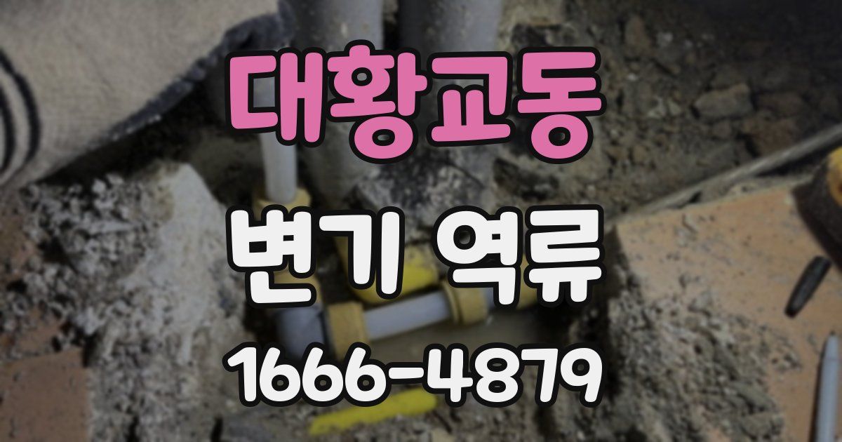 대황교동 변기 역류