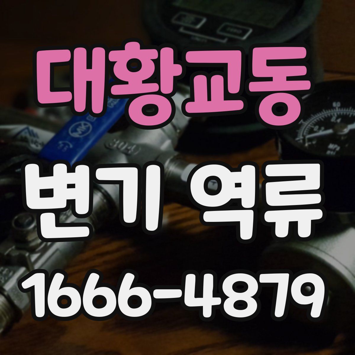대황교동 변기 역류