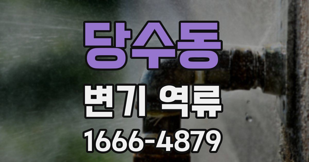 당수동 변기 역류