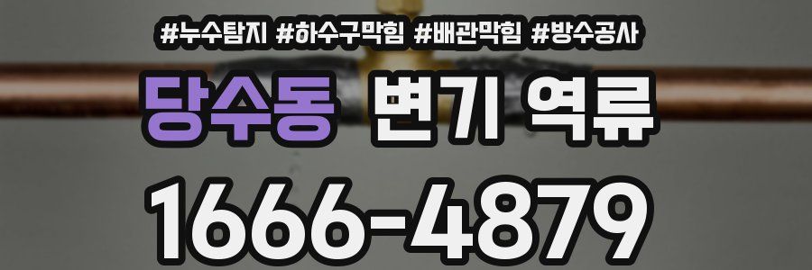 당수동 변기 역류