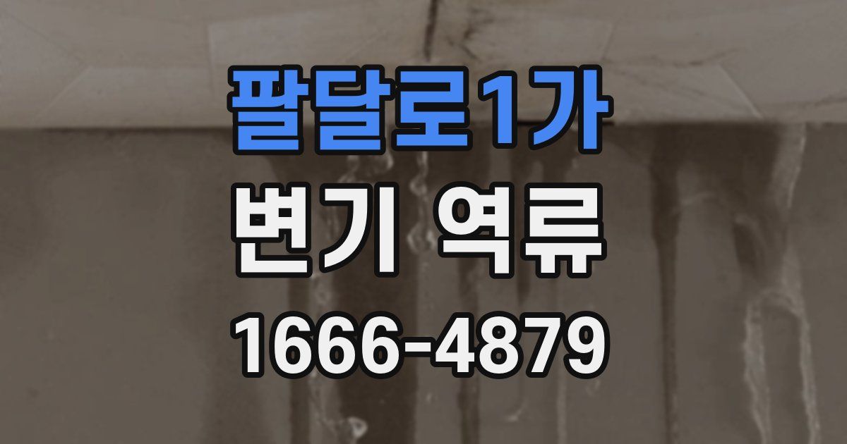 팔달로1가 변기 역류