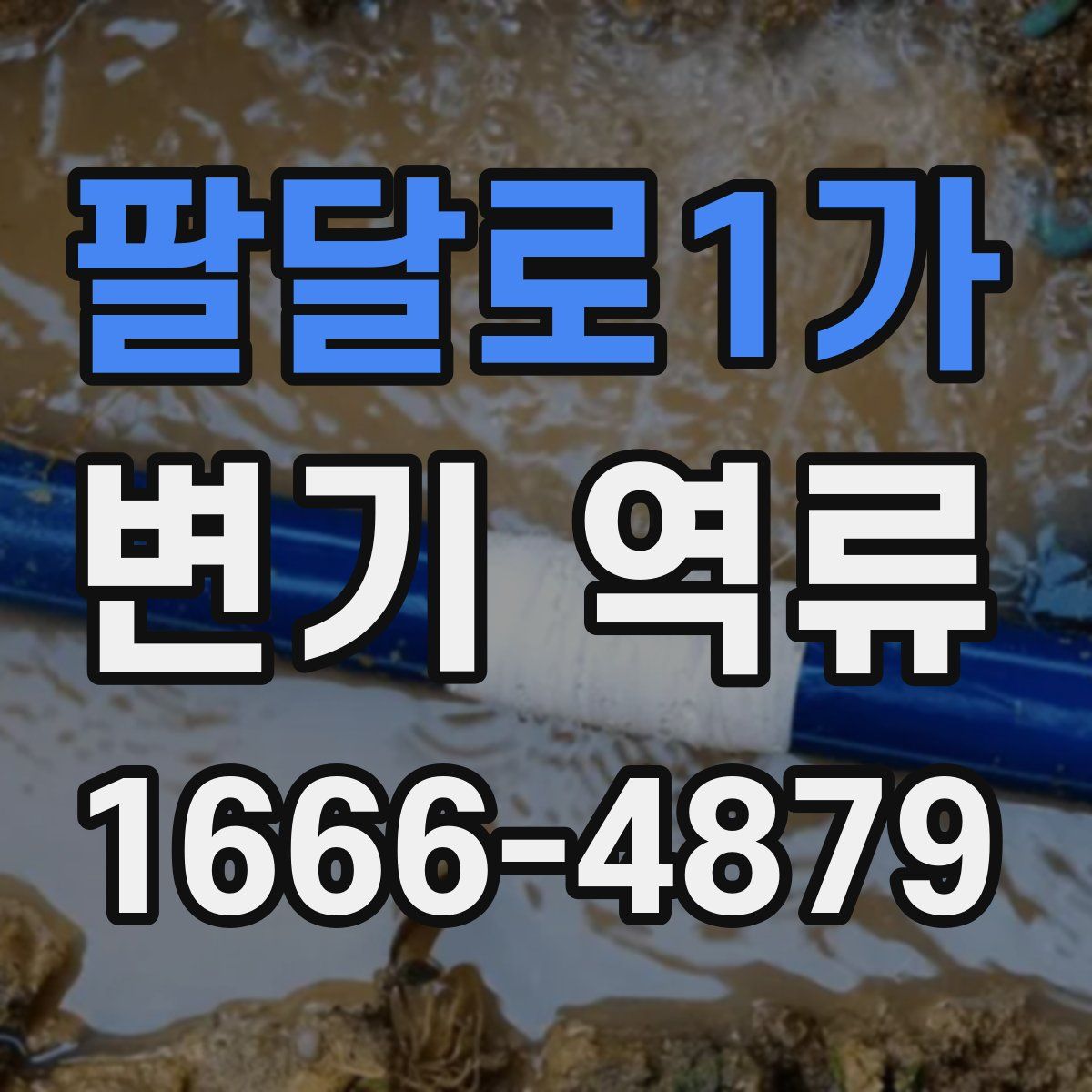 팔달로1가 변기 역류