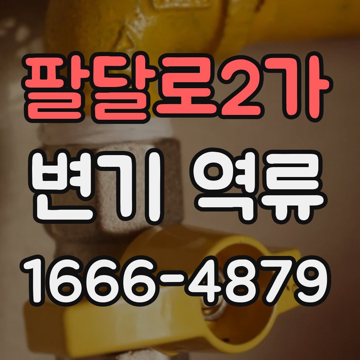 팔달로2가 변기 역류