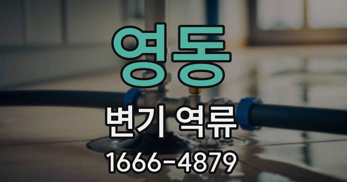 영동 변기 역류