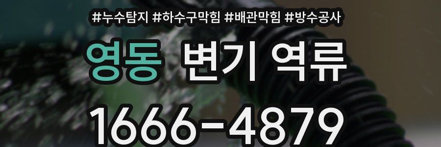 영동 변기 역류