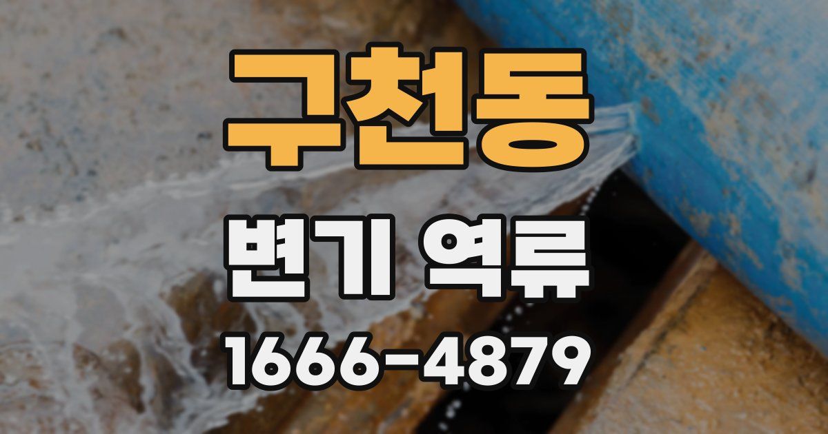 구천동 변기 역류