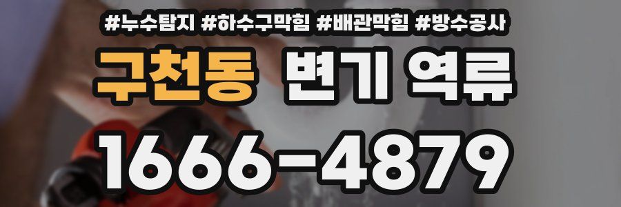 구천동 변기 역류