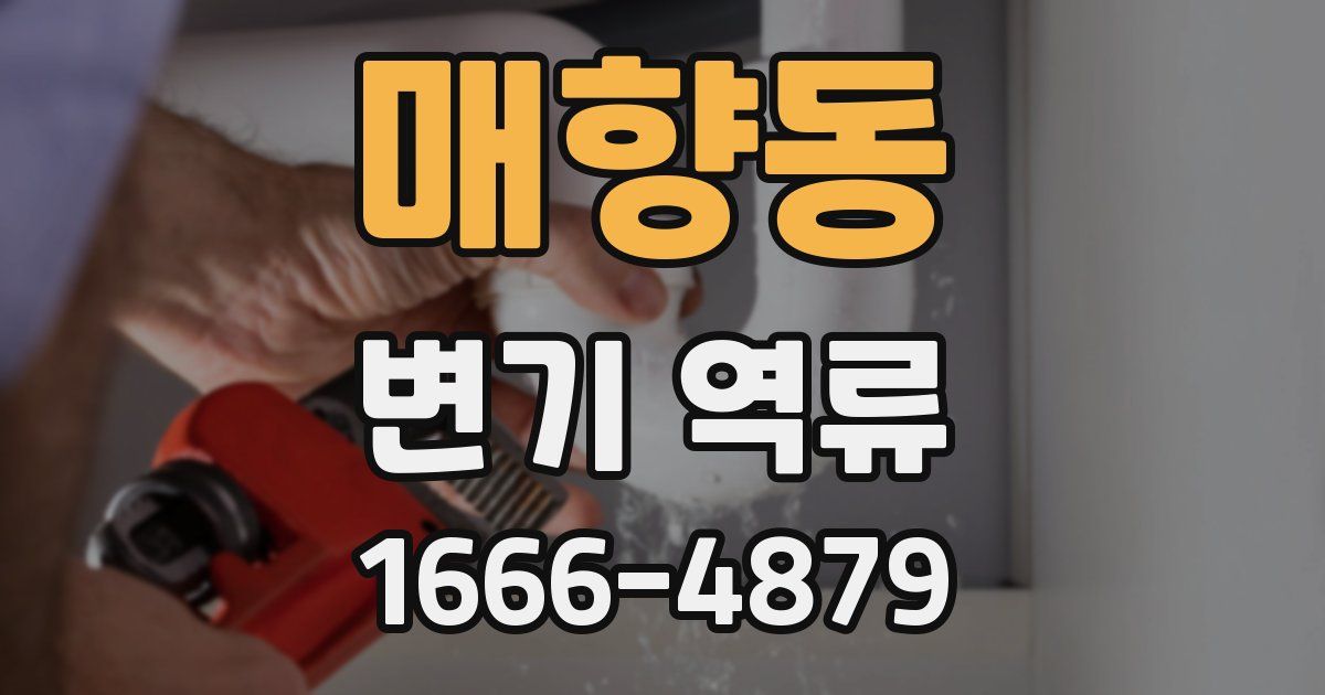 매향동 변기 역류