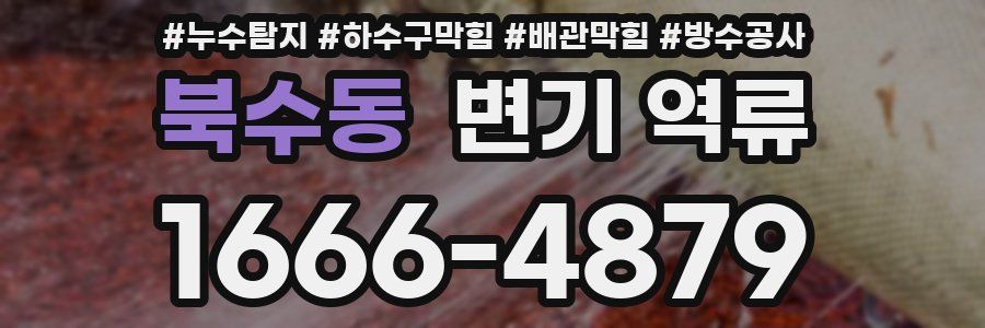 북수동 변기 역류