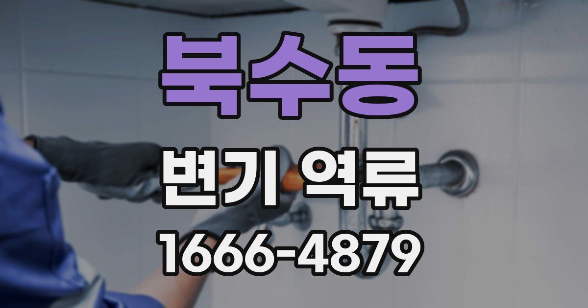 북수동 변기 역류