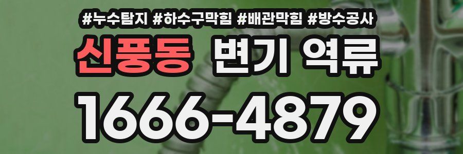 신풍동 변기 역류