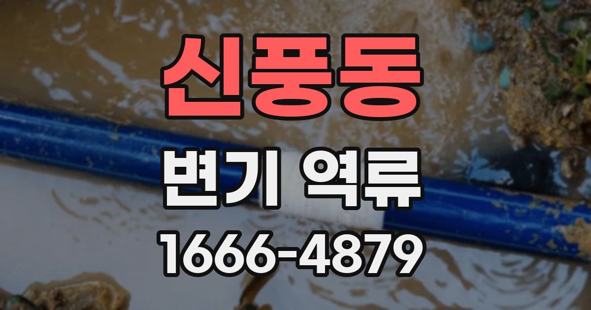 신풍동 변기 역류