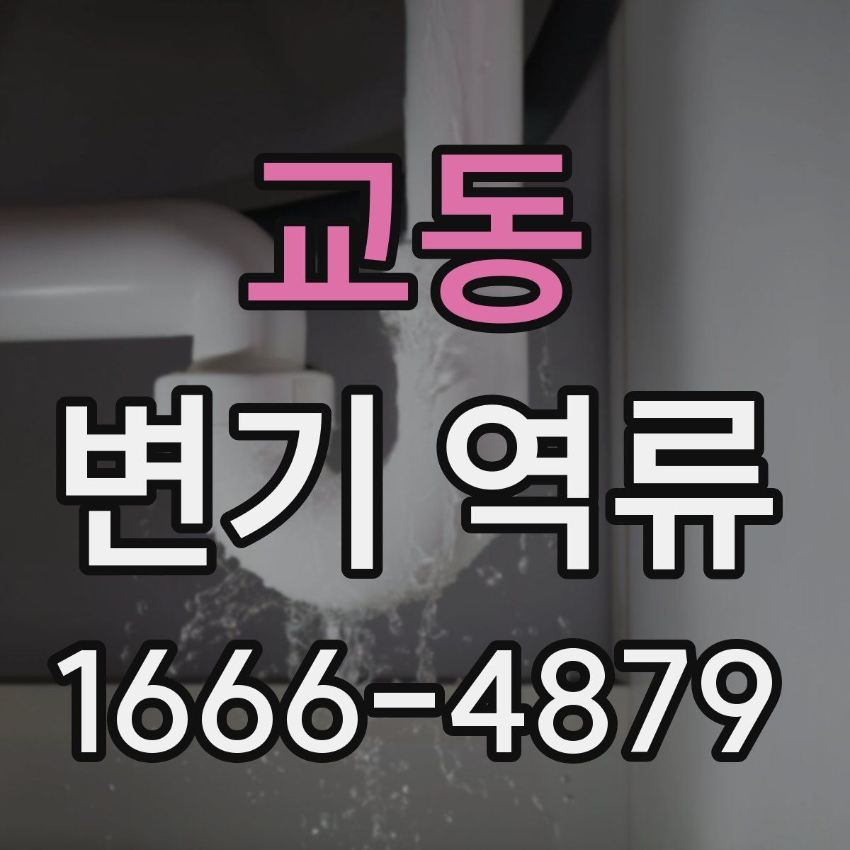 교동 변기 역류