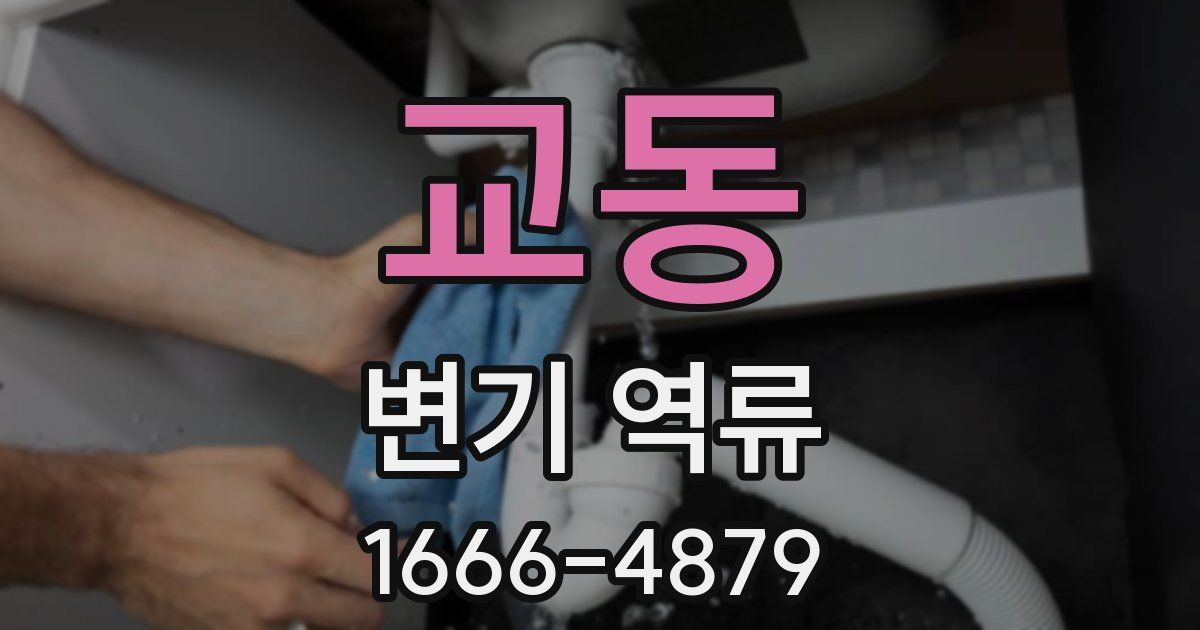 교동 변기 역류
