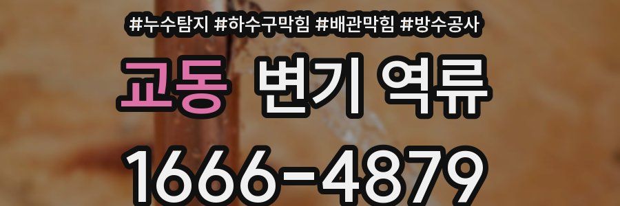 교동 변기 역류