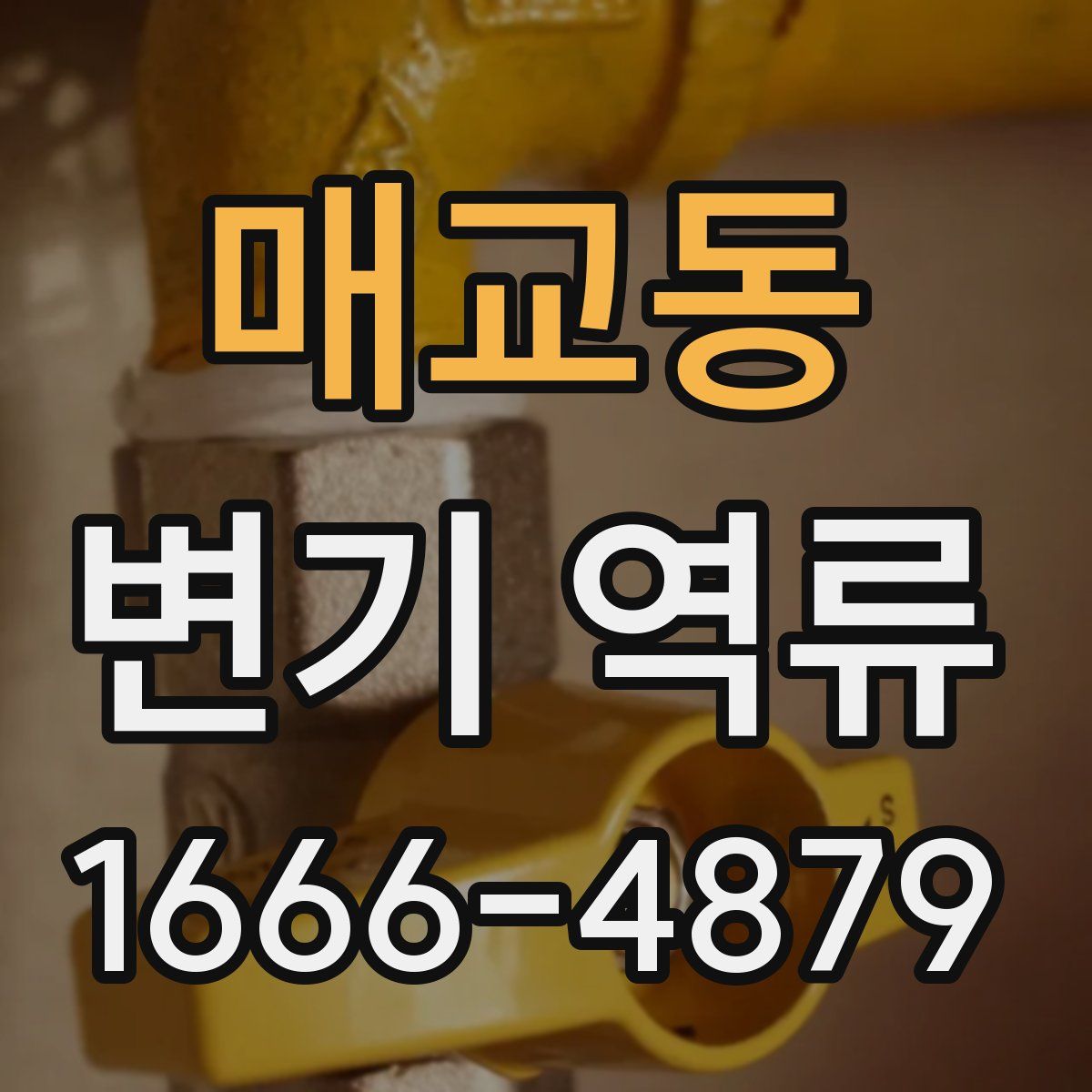 매교동 변기 역류