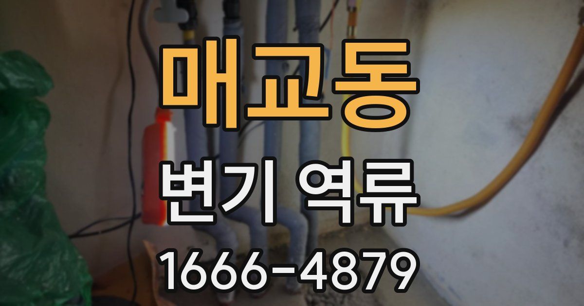 매교동 변기 역류