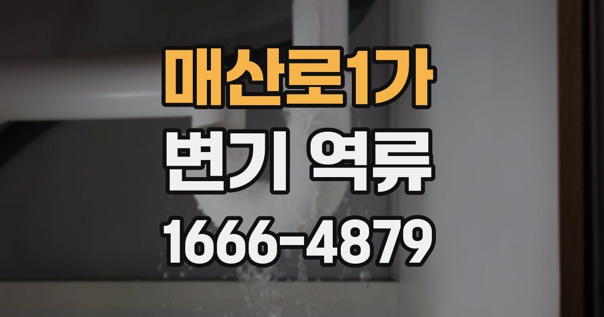 매산로1가 변기 역류